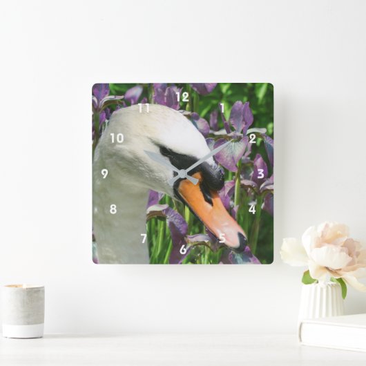 白鳥と紫の髭のあやめの花 スクエア壁時計 (ホーム)