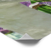 白鳥と紫菖蒲の花 ポスター (角)