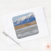 白鳥と雪 スクエアシール (封筒)