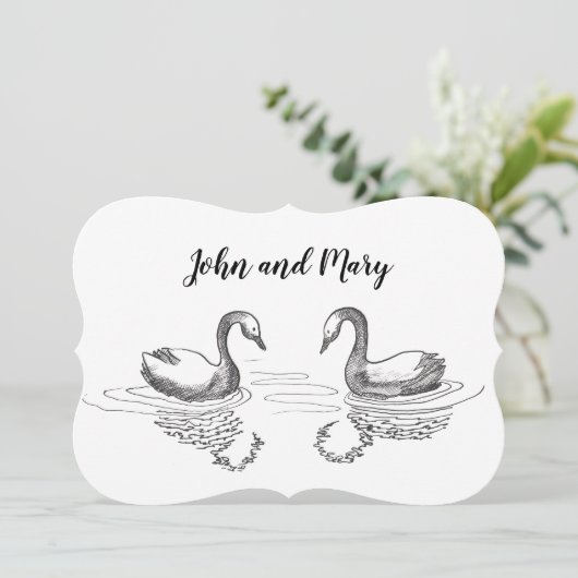 白鳥のインク。 (スタンド正面)