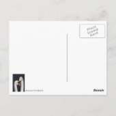 白鳥のカップル葉書 ポストカード (裏面)