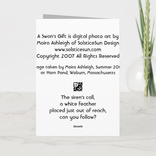 白鳥のギフト カード (裏面)