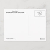 白鳥のボートのボストン公共庭 ポストカード (裏面)