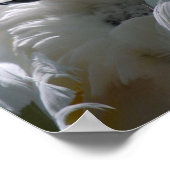 白鳥のポスター ポスター (角)