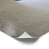 白鳥のポスター ポスター (コーナー)