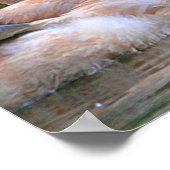 白鳥のポスター ポスター (角)