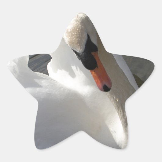 白鳥のポーズ 星シール (正面)