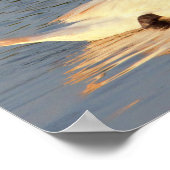 白鳥の写真 ポスター (角)