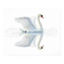 白鳥の反射
