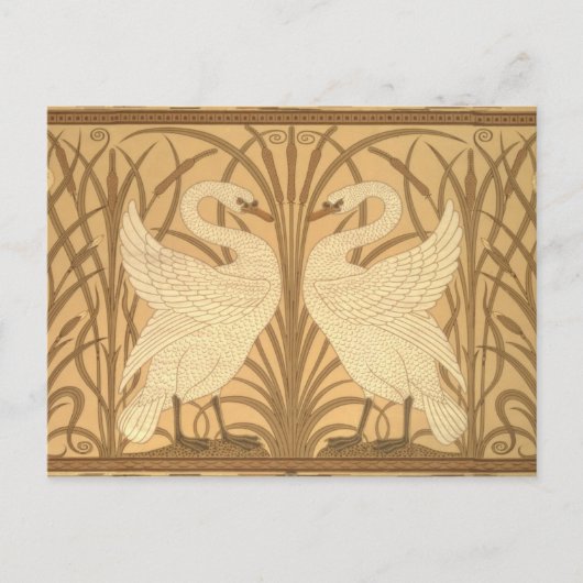 白鳥の壁紙のデザイン ポストカード (正面)