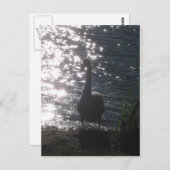 白鳥の夕べ灯 ポストカード (正面/裏面)