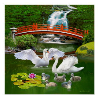 白鳥の家族 ポスター