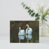 白鳥の恋はがき ポストカード (スタンド正面)