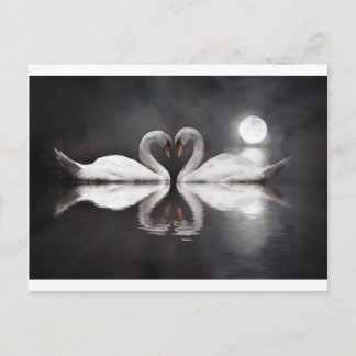 白鳥の恋 ポストカード