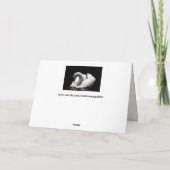 白鳥の挨拶状 カード (裏面)