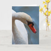 白鳥の挨拶状 カード (黄色い花)