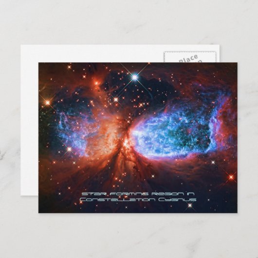 白鳥の星の誕生 ポストカード (正面/裏面)