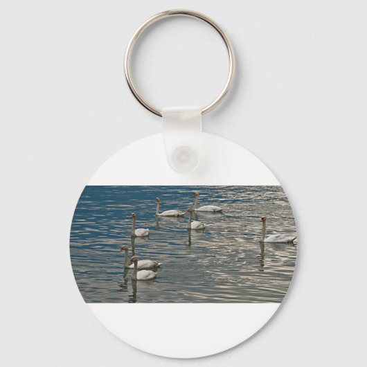 白鳥の歌 キーホルダー (正面)