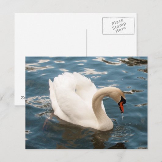 白鳥の歌 ポストカード (正面/裏面)