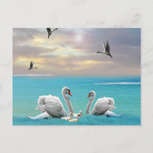 白鳥の歌 ポストカード (正面)