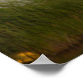 白鳥の水辺のポスター ポスター (角)