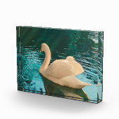 白鳥の池 フォトブロック (右)