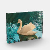 白鳥の池 フォトブロック (左)