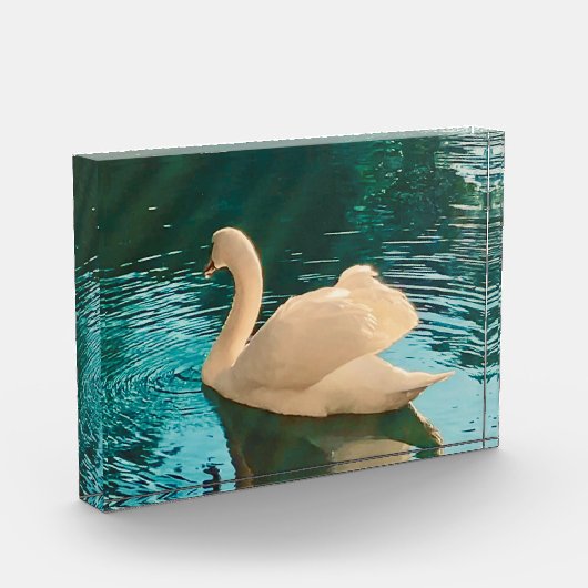 白鳥の池 フォトブロック (左)