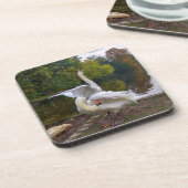 白鳥の湖 コースター (左側)