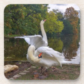 白鳥の湖 コースター (正面)