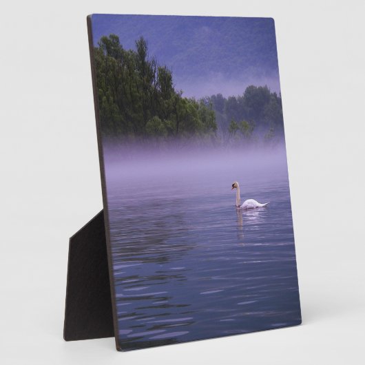 白鳥の湖 フォトプラーク (側面)