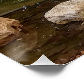 白鳥の湖 ポスター (コーナー)