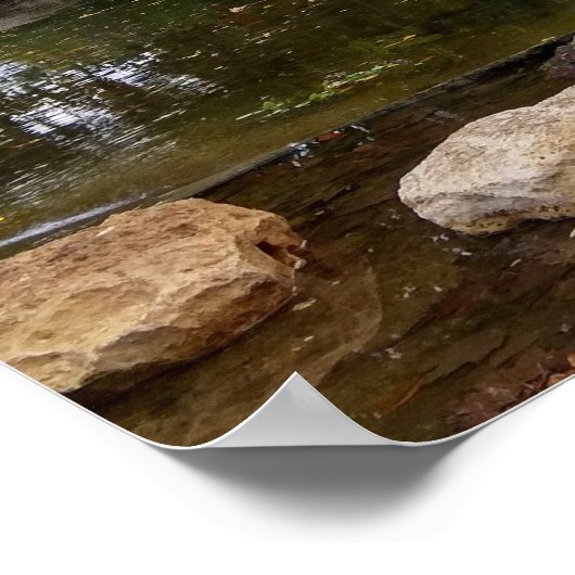 白鳥の湖 ポスター (角)