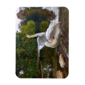 白鳥の湖 マグネット (縦)