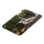 白鳥の湖 マグネット (左側)