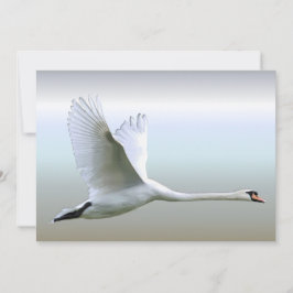 白鳥の満飛行中
