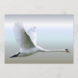 白鳥の満飛行中