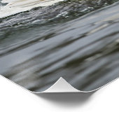 白鳥は泳ぐのが早い ポスター (コーナー)