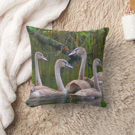 白鳥まくら クッション (ブランケット)