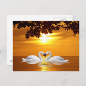 白鳥を愛する ポストカード (正面/裏面)