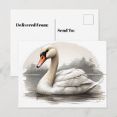 白鳥を水中でミュート ポストカード (正面/裏面)
