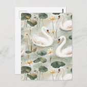 白鳥エレガント類 ポストカード (正面/裏面)