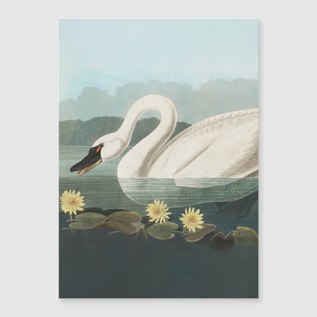 白鳥オードボンバードホワイトウォーター (正面)