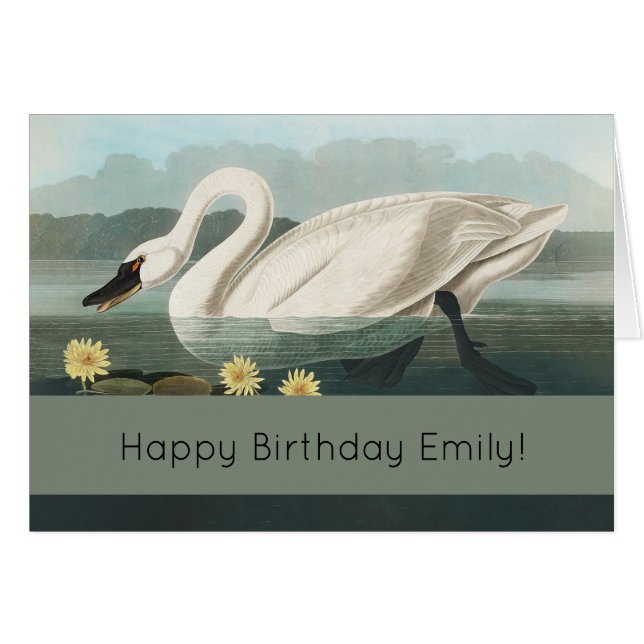 白鳥オードボンバードホワイトウォーター (正面横)