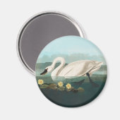 白鳥オードボンバードホワイトウォーター マグネット (正面/裏面)