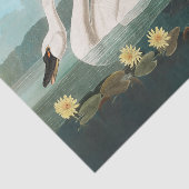 白鳥オードボンバードホワイトウォーター 薄葉紙 (詳細)