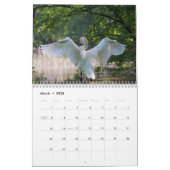 白鳥カレンダー2025 カレンダー (3月 2026)