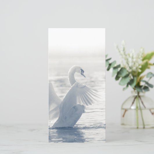 白鳥カード (スタンド正面)