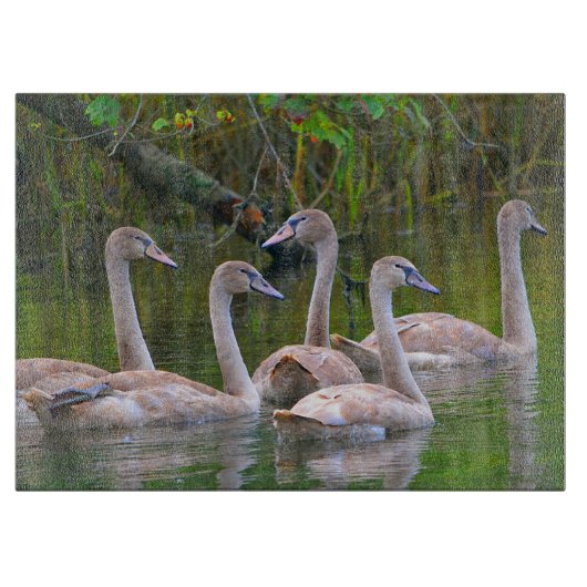 白鳥ガラス切断板 カッティングボード (正面)