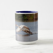 白鳥テイクオフ、野鳥の写真 マグカップ (中央)
